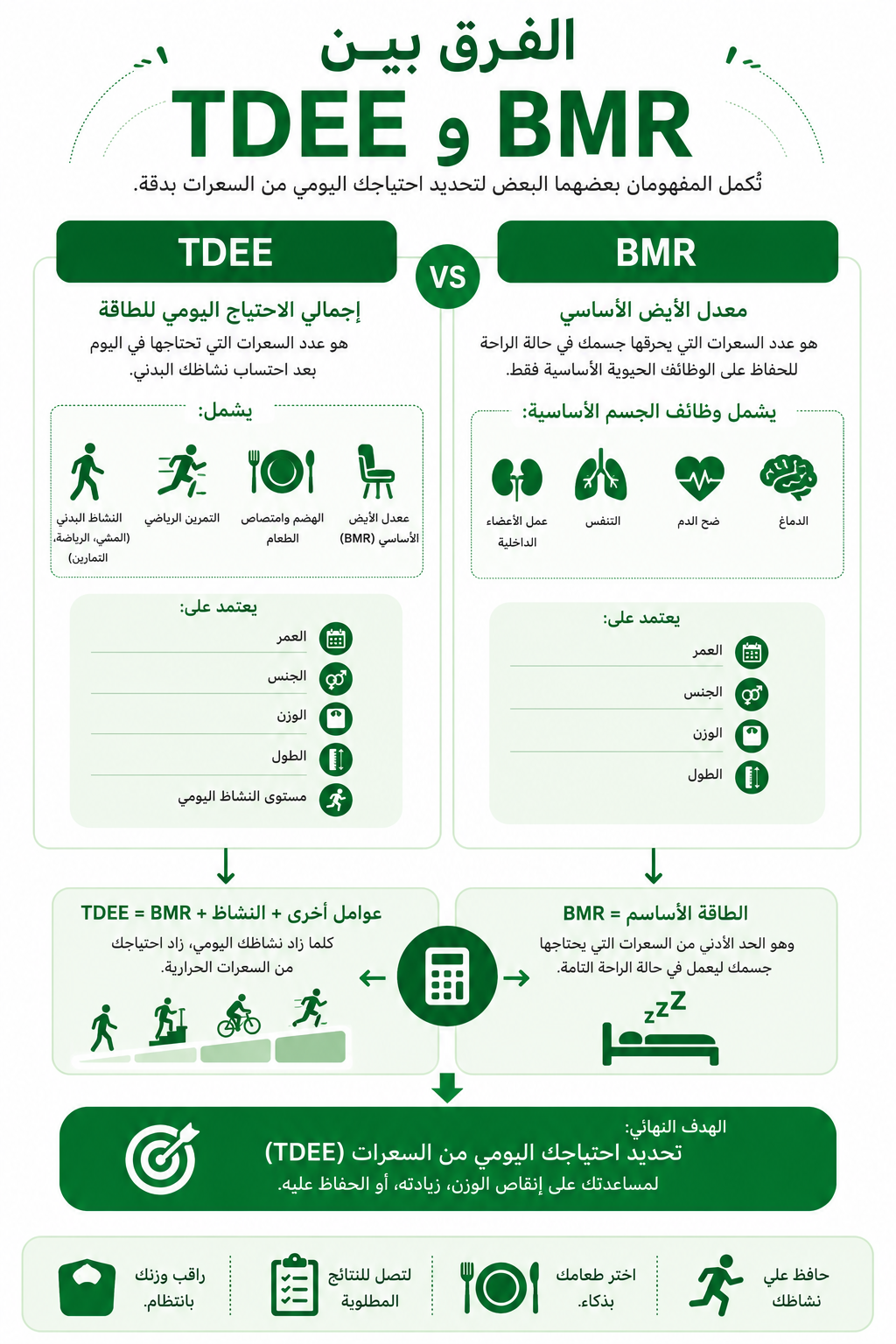 إنفوجرافيك عربي يقارن بين BMR وTDEE في حساب السعرات اليومية.