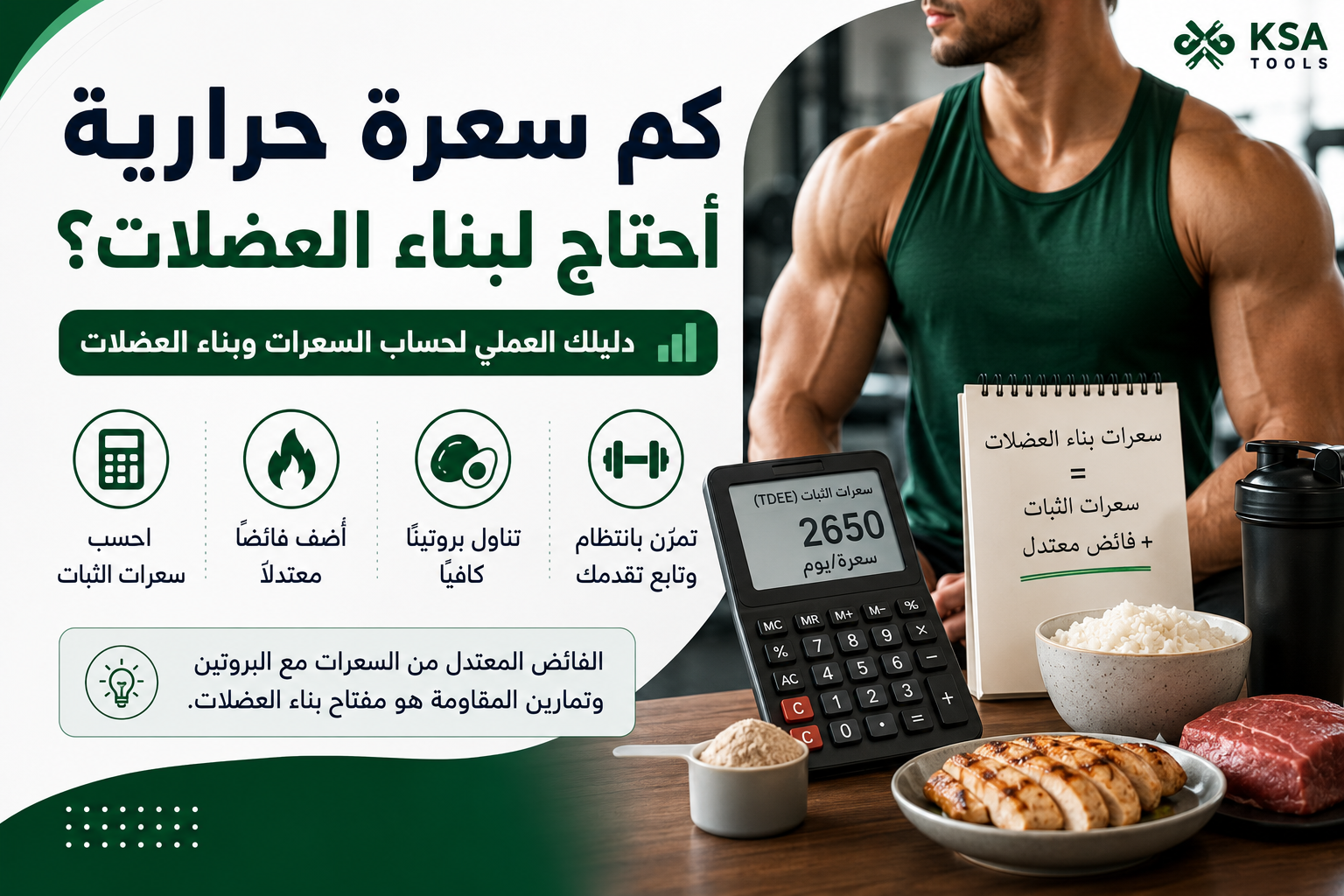 إنفوجرافيك يوضح كيفية حساب السعرات الحرارية اللازمة لبناء العضلات من خلال حساب سعرات الثبات (TDEE) وإضافة فائض معتدل من السعرات مع تناول البروتين وممارسة تمارين المقاومة.