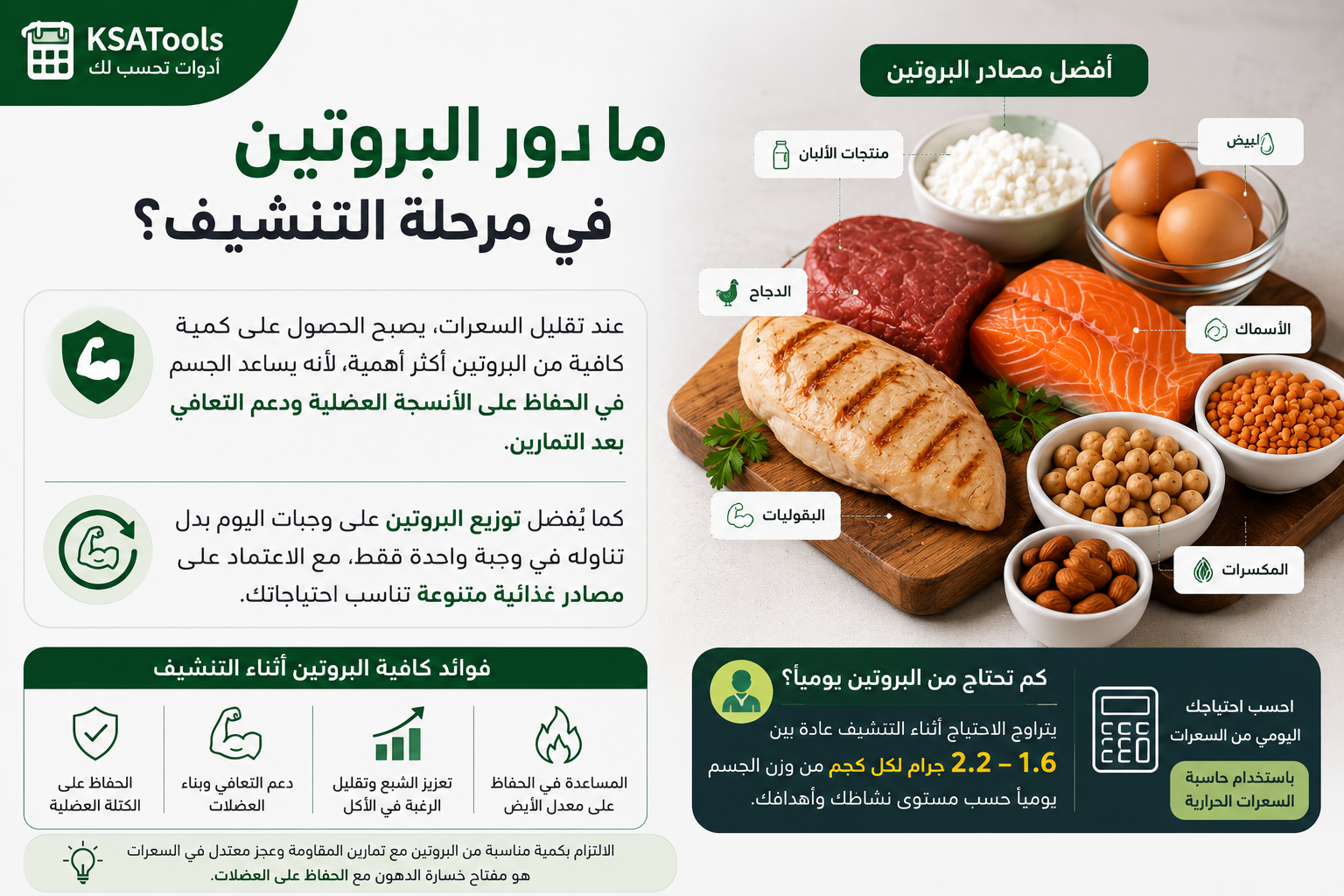 إنفوجرافيك يوضح دور البروتين أثناء مرحلة التنشيف، وأهمية الحفاظ على الكتلة العضلية ودعم التعافي مع أفضل مصادر البروتين الغذائية.