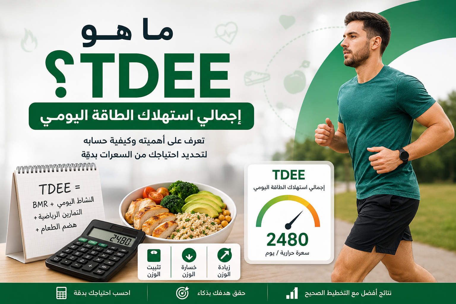 صورة توضيحية تشرح مفهوم إجمالي استهلاك الطاقة اليومي (TDEE) وكيف يساعد في تحديد احتياج الجسم اليومي من السعرات الحرارية.