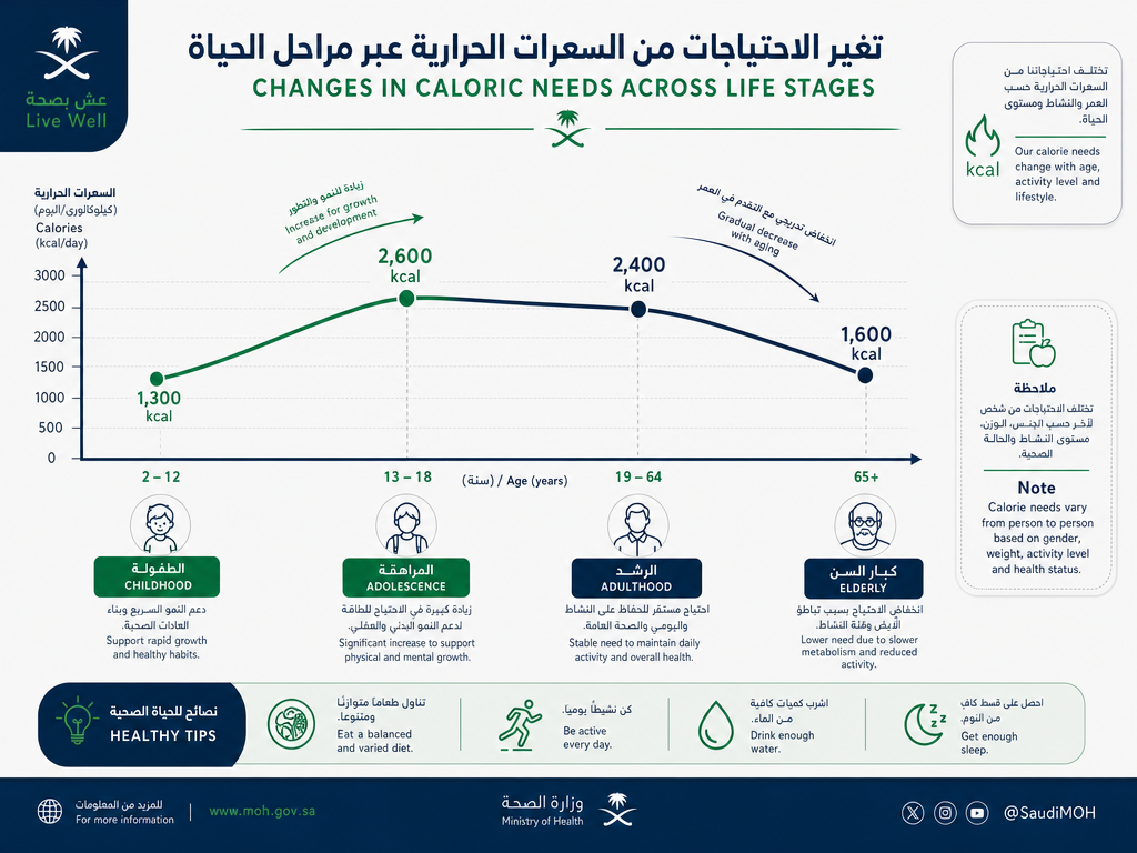 إنفوجراف يوضح تغير احتياجات السعرات الحرارية في مراحل الحياة المختلفة